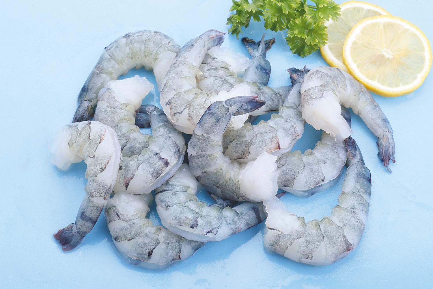 seafimex.com