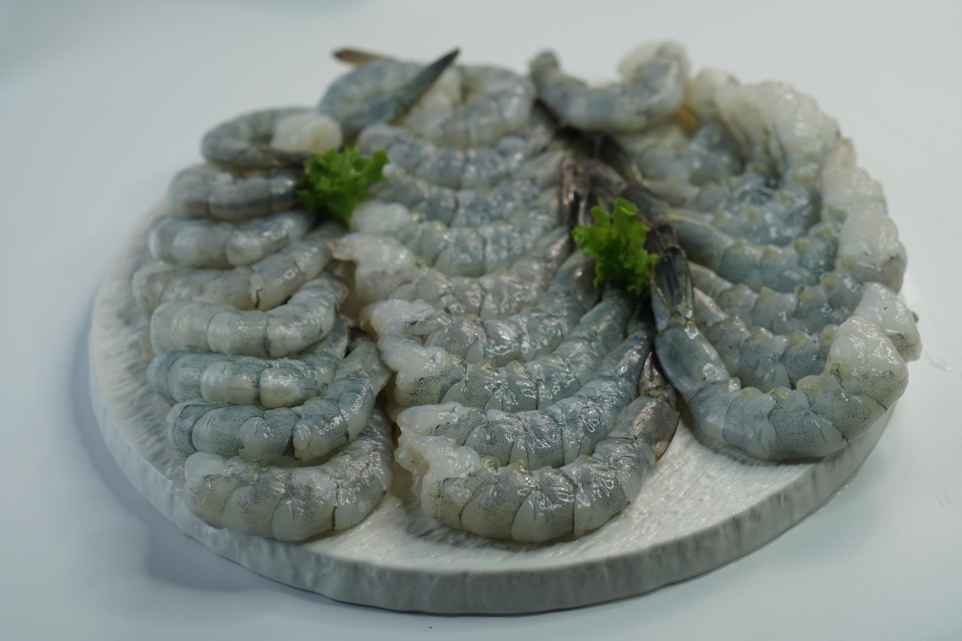 seafimex.com