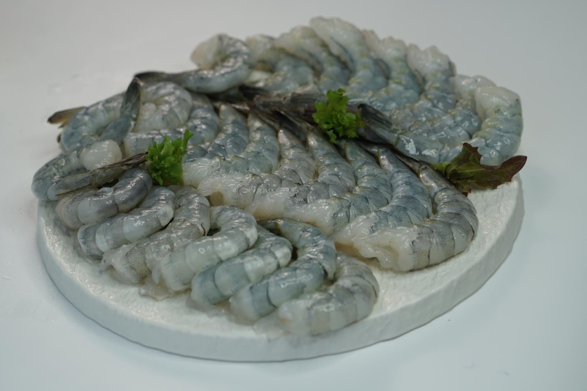 seafimex.com