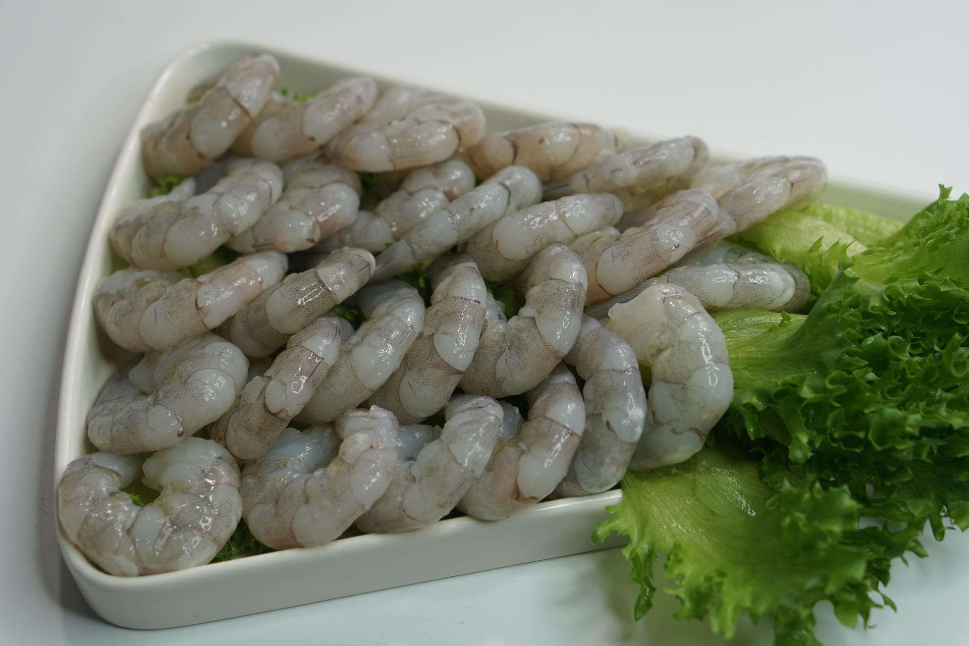 seafimex.com